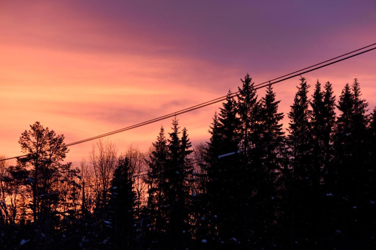 Fresh Familie Hytte Hemsedal Kültér fotó