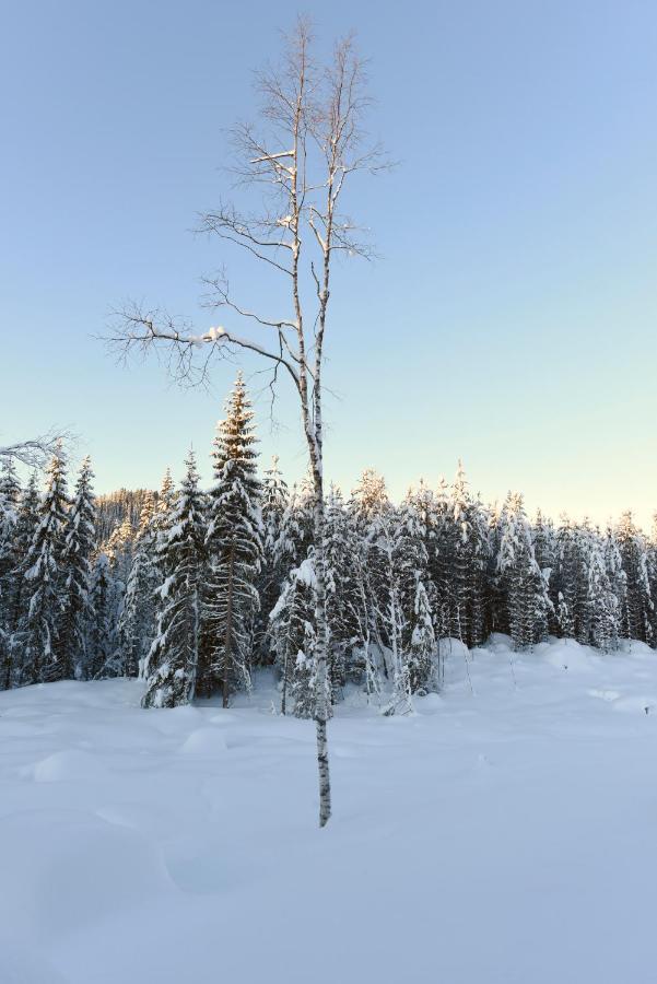 Fresh Familie Hytte Hemsedal Kültér fotó